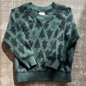 Hanna Andersson Deep Green Pullover